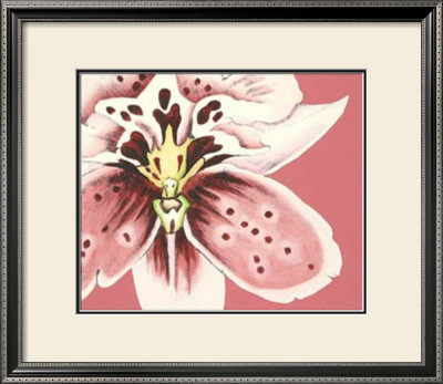 Orchid Ii by Nancy Slocum Pricing Limited Edition Print image