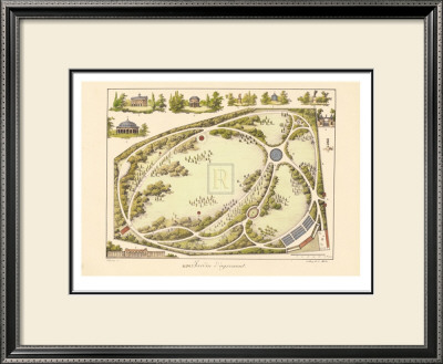 Garden Design Iv by Anonymous Pricing Limited Edition Print image