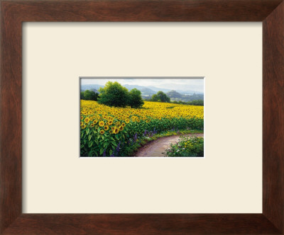Field Of Sunflowers by Gerhard Nesvadba Pricing Limited Edition Print image