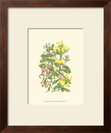 Summer Garden Xi by Anne Pratt Pricing Limited Edition Print image