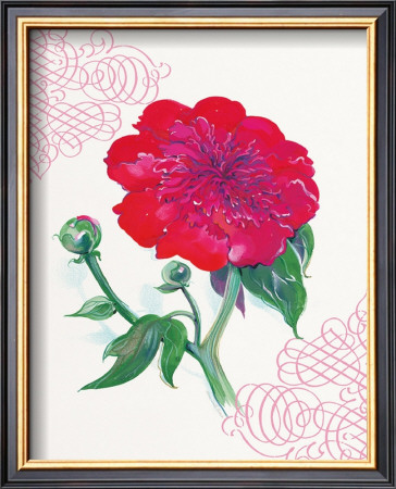 Raspberry Peony by Elissa Della-Piana Pricing Limited Edition Print image