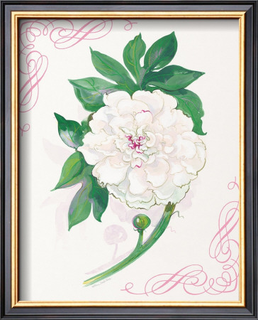 Snow Peony by Elissa Della-Piana Pricing Limited Edition Print image