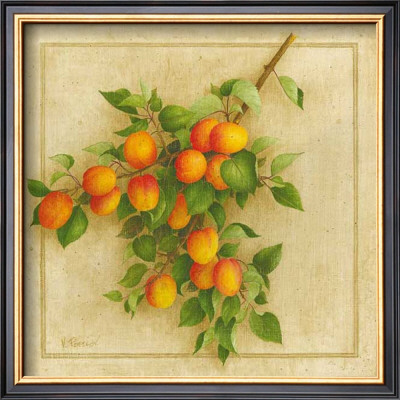 Abricots Du Roussillon by Vincent Perriol Pricing Limited Edition Print image