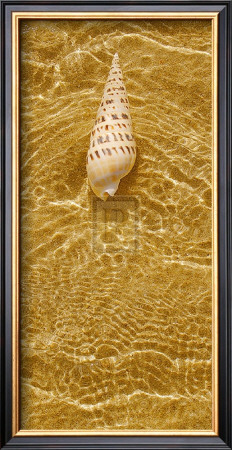 Ripple Shell I by Tony Koukos Pricing Limited Edition Print image
