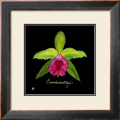 Vivid Orchid I by Ginny Joyner Pricing Limited Edition Print image