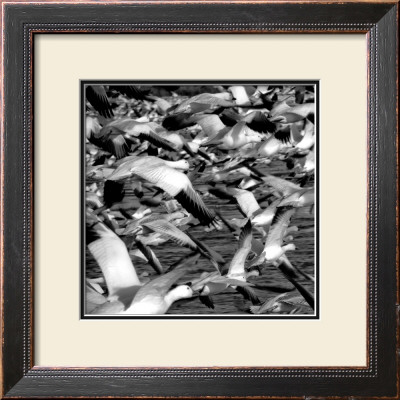 L'envol by Jean-Francois Dupuis Pricing Limited Edition Print image
