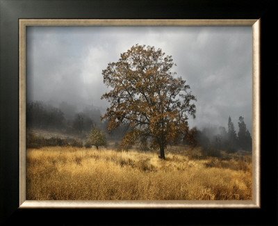 Field Of Gold by Vitaly Geyman Pricing Limited Edition Print image
