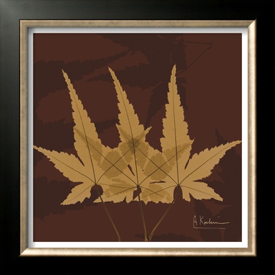Color Me Maple Brown Ii by Albert Koetsier Pricing Limited Edition Print image