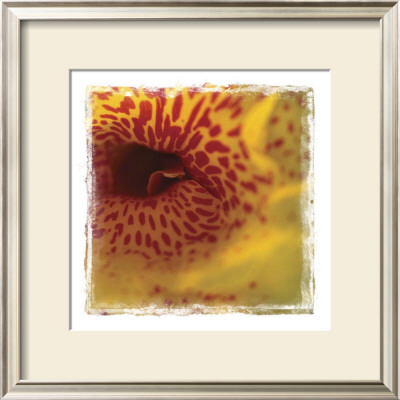 Flower Power Ii by Susann & Frank Parker Pricing Limited Edition Print image