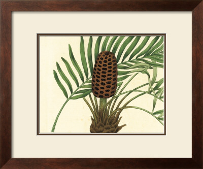 Palmetto Iii by Zachary Alexander Pricing Limited Edition Print image