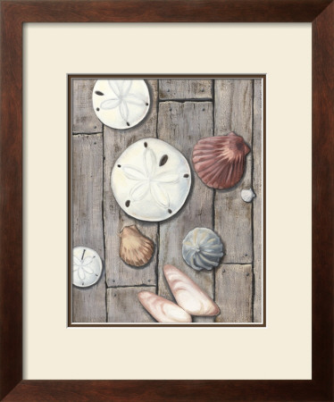 Seashore Treasure I by Megan Meagher Pricing Limited Edition Print image