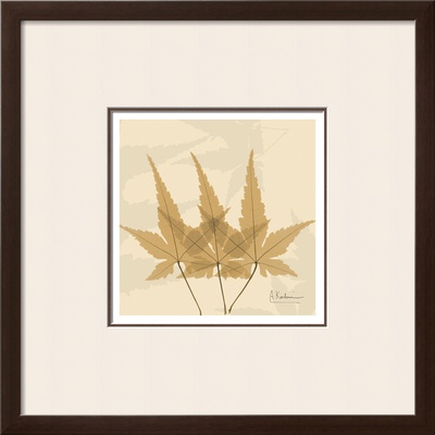 Color Me Maple Natural Ii by Albert Koetsier Pricing Limited Edition Print image