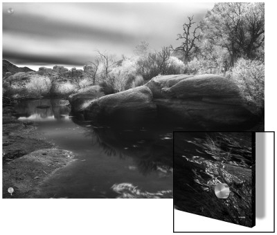 Rocks And Trees At Barker Dam In Joshua Tree National Park by A.D. Pricing Limited Edition Print image