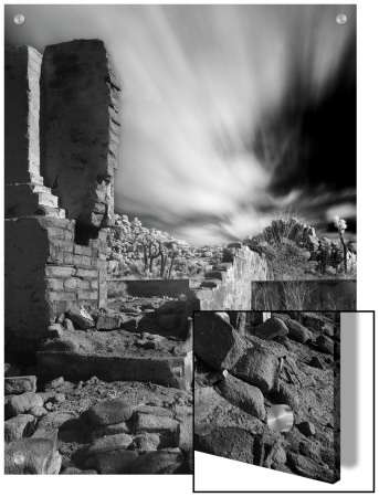 Part Of A Old House At Joshua Tree National Park, California by A.D. Pricing Limited Edition Print image