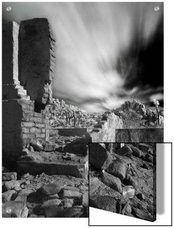 Part Of A Old House At Joshua Tree National Park, California by A.D. Pricing Limited Edition Print image