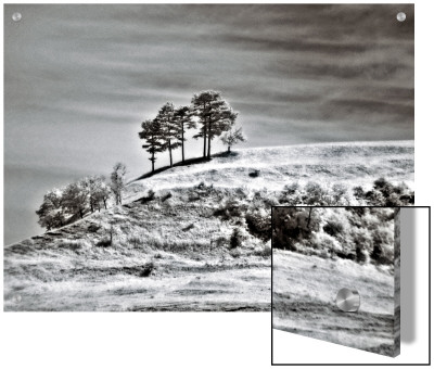 Trees On Hill by I.W. Pricing Limited Edition Print image