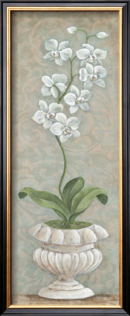 Lavish Orchids I by Angela Ferrante Pricing Limited Edition Print image
