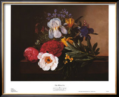 White Iris by Johan Laurentz Jensen Pricing Limited Edition Print image