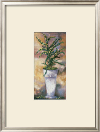 Tamed Broom by Rian Withaar Pricing Limited Edition Print image