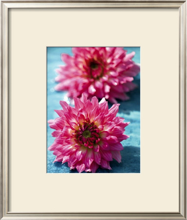 Dahlias by Laurence Mouton Pricing Limited Edition Print image