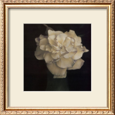 Gardenia In Green Vase by Carnochan Pricing Limited Edition Print image