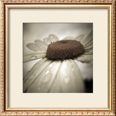 After The Rain by Jean-Francois Dupuis Pricing Limited Edition Print image