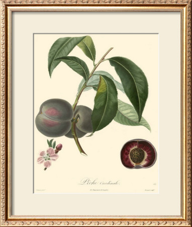 Plums by Bessa Pricing Limited Edition Print image
