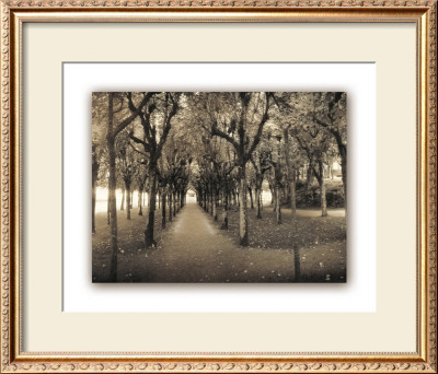 Rows Of Trees by Connie Wellnitz Pricing Limited Edition Print image