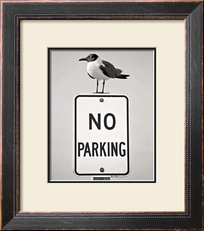 No Parking by Stephen St. John Pricing Limited Edition Print image