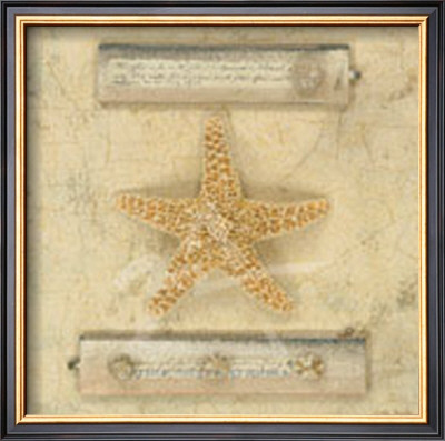 Starfish Journal by Leslie Mueller Pricing Limited Edition Print image