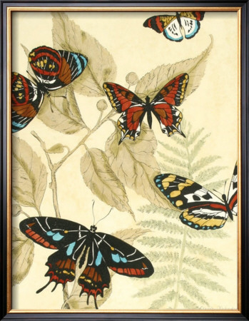 Graphic Butterflies In Nature Ii by Megan Meagher Pricing Limited Edition Print image