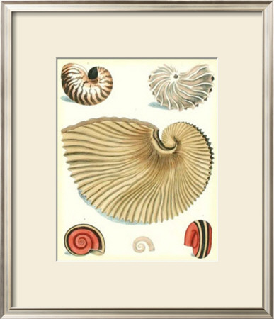 Studies In Symmetry Ii by George Wolfgang Knorr Pricing Limited Edition Print image
