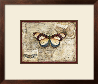 Poetic Butterfly I by Chariklia Zarris Pricing Limited Edition Print image