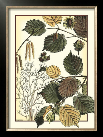 Arts And Crafts Hazelnut by M.P. Verneuil Pricing Limited Edition Print image