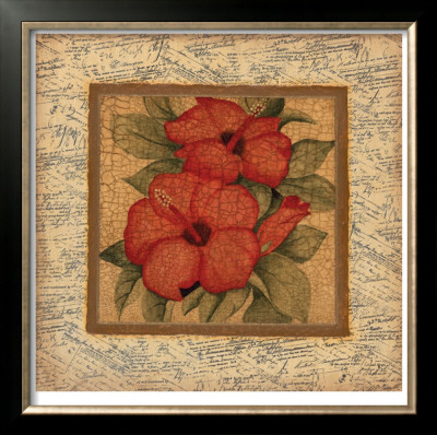 Exotic Beauty Ii by Mark St. John Pricing Limited Edition Print image
