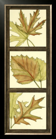 Fall Leaves I by Jennifer Goldberger Pricing Limited Edition Print image