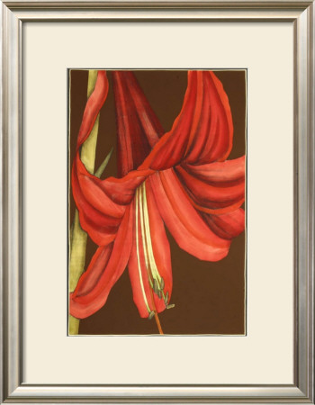 Regal Lily Iv by Jennifer Goldberger Pricing Limited Edition Print image