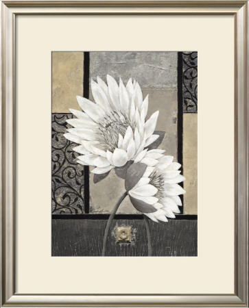 White Waterlily by Claudia Ancilotti Pricing Limited Edition Print image