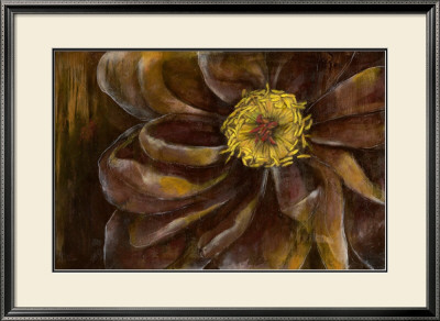 Floral Illusion Ii by Jennifer Goldberger Pricing Limited Edition Print image