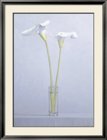 Two Calla Lilies by James Moore Pricing Limited Edition Print image