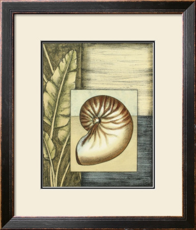 Tropical Shell Ii by Ethan Harper Pricing Limited Edition Print image