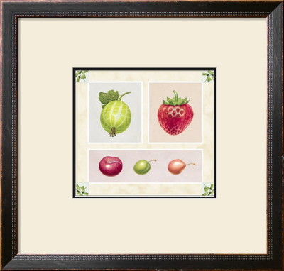 Antique Fruits by Alex Bloch Pricing Limited Edition Print image