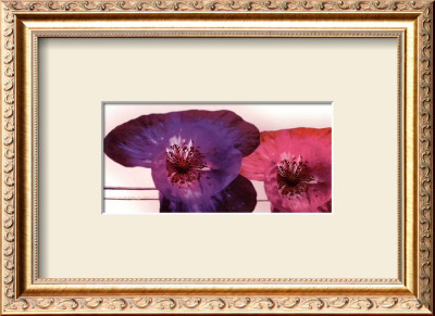 Anemonen Duo I by Frauke Meszaros Pricing Limited Edition Print image
