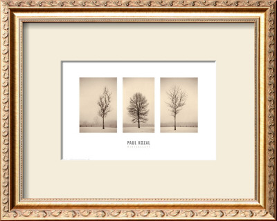 Winterscapes by Paul Kozal Pricing Limited Edition Print image