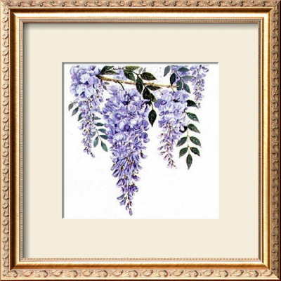Wisteria by Linda Lord Pricing Limited Edition Print image