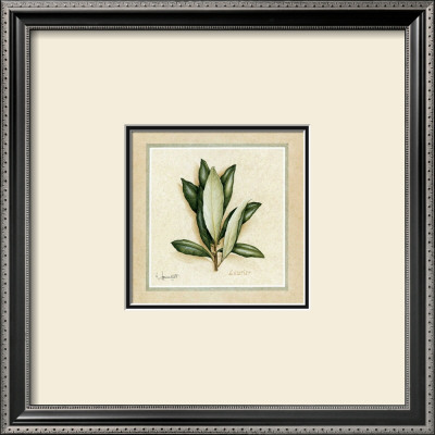Herbes I by Vincent Jeannerot Pricing Limited Edition Print image