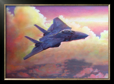 F-14A Tomcat by Douglas Castleman Pricing Limited Edition Print image