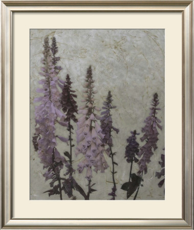 Foxgloves Ii by Chariklia Zarris Pricing Limited Edition Print image