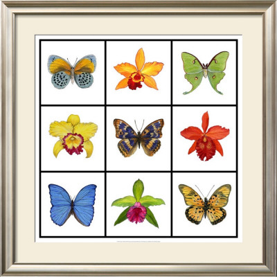 Exotic Nine Patch by Ginny Joyner Pricing Limited Edition Print image