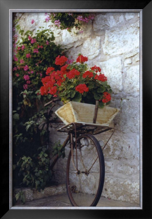 Flower Box Bike by Meg Mccomb Pricing Limited Edition Print image